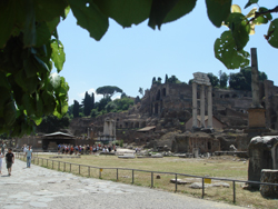 The ancient Roman Forum looking towards the Palatine Hill in Rome